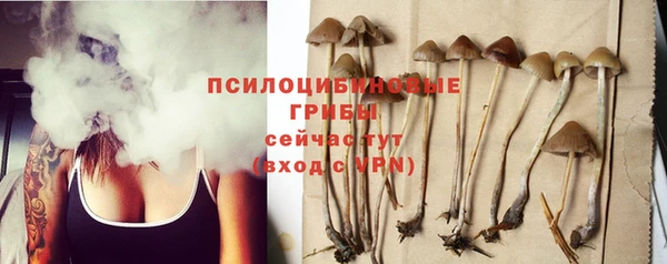 мдпв Няндома