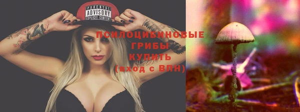 ПСИЛОЦИБИНОВЫЕ ГРИБЫ Новодвинск