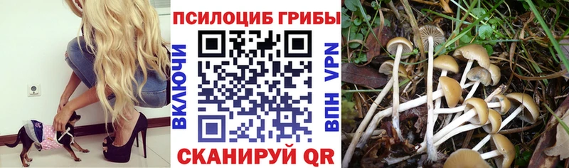 Галлюциногенные грибы GOLDEN TEACHER  Сафоново 