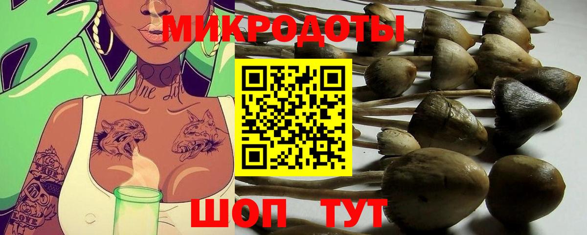 Галлюциногенные грибы мицелий  Вход с VPN  Сафоново 